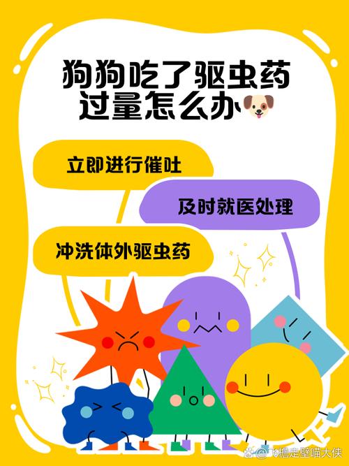 狗狗驱球虫用什么药_狗狗驱球虫用什么药好-第5张图片-后鲨宠物 狗狗驱球虫用什么药_狗狗驱球虫用什么药好-第5张图片-后鲨宠物