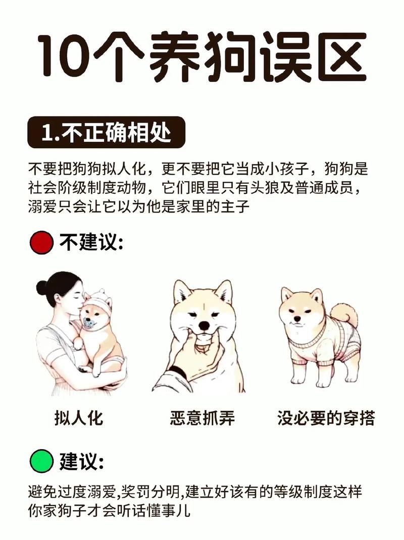 怎么和狗狗相处_怎么和狗狗相处融洽-第2张图片-后鲨宠物 怎么和狗狗相处_怎么和狗狗相处融洽-第2张图片-后鲨宠物