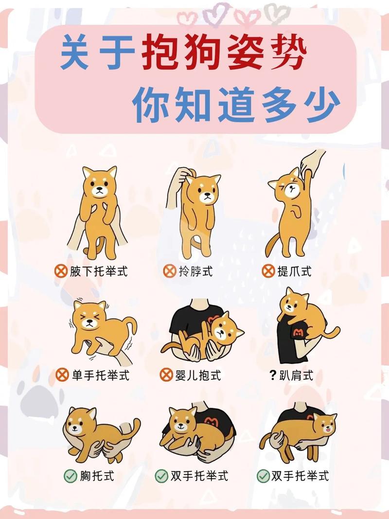 怎么和狗狗相处_怎么和狗狗相处融洽-第4张图片-后鲨宠物 怎么和狗狗相处_怎么和狗狗相处融洽-第4张图片-后鲨宠物