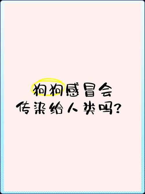 狗狗感冒会传染给人吗,狗狗感冒会传染人吗怎么治疗?-第4张图片-后鲨宠物 狗狗感冒会传染给人吗,狗狗感冒会传染人吗怎么治疗?-第4张图片-后鲨宠物