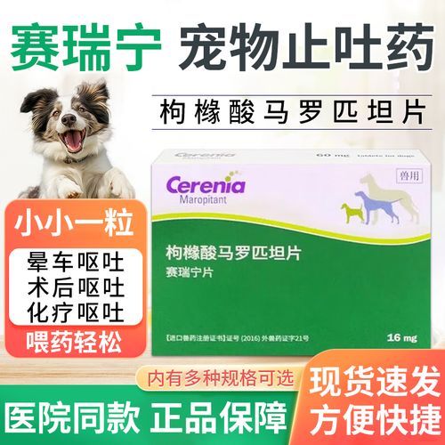 狗狗能吃人的晕车药吗,狗可以吃晕车药吗??-第5张图片-后鲨宠物 狗狗能吃人的晕车药吗,狗可以吃晕车药吗??-第5张图片-后鲨宠物