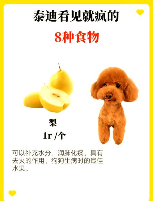 狗狗可以吃金针菇吗,狗子可以吃金针菇么?-第1张图片-后鲨宠物 狗狗可以吃金针菇吗,狗子可以吃金针菇么?-第1张图片-后鲨宠物