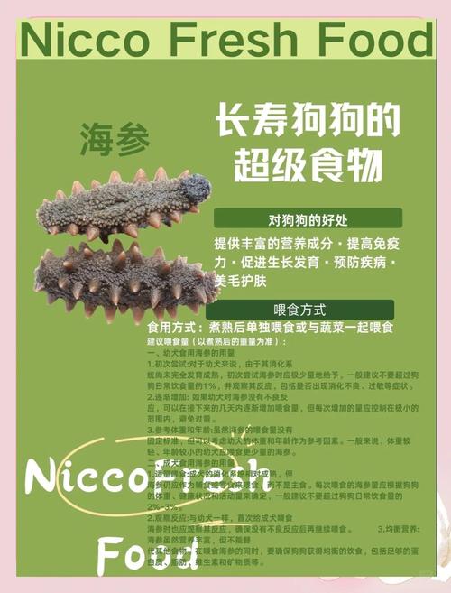 狗狗能吃海参吗_狗狗能吃海参嘛-第1张图片-后鲨宠物 狗狗能吃海参吗_狗狗能吃海参嘛-第1张图片-后鲨宠物