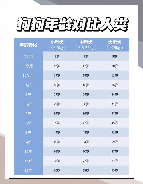 狗狗的寿命多长时间,狗狗寿命多长时间一岁-第5张图片-后鲨宠物 狗狗的寿命多长时间,狗狗寿命多长时间一岁-第5张图片-后鲨宠物