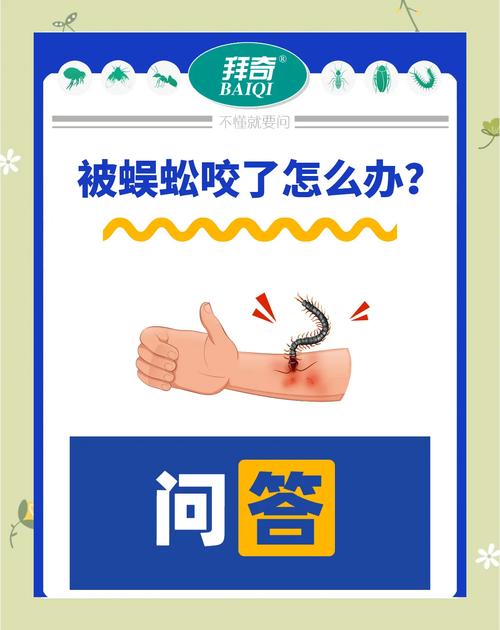 狗狗被咬了怎么办,狗狗被咬了要怎么处理-第1张图片-后鲨宠物 狗狗被咬了怎么办,狗狗被咬了要怎么处理-第1张图片-后鲨宠物