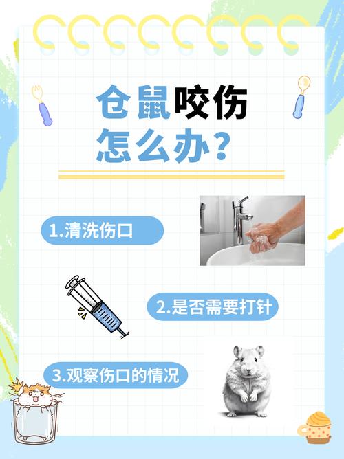 狗狗被咬了怎么办,狗狗被咬了要怎么处理-第3张图片-后鲨宠物 狗狗被咬了怎么办,狗狗被咬了要怎么处理-第3张图片-后鲨宠物