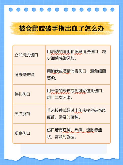 狗狗被咬了怎么办,狗狗被咬了要怎么处理-第4张图片-后鲨宠物 狗狗被咬了怎么办,狗狗被咬了要怎么处理-第4张图片-后鲨宠物