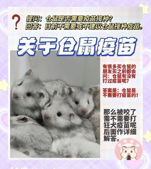 狗狗被咬了怎么办,狗狗被咬了要怎么处理-第5张图片-后鲨宠物 狗狗被咬了怎么办,狗狗被咬了要怎么处理-第5张图片-后鲨宠物