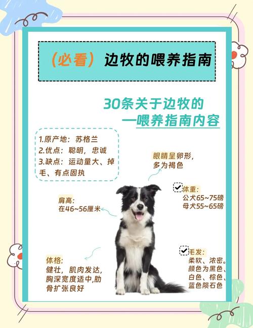 狗狗尿床上怎么去异味,狗狗尿到床上怎么去除味道-第4张图片-后鲨宠物 狗狗尿床上怎么去异味,狗狗尿到床上怎么去除味道-第4张图片-后鲨宠物