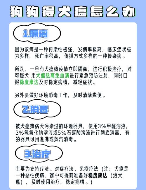 狗狗犬瘟症状怎么治疗,狗狗犬瘟是什么症状能治好吗-第1张图片-后鲨宠物 狗狗犬瘟症状怎么治疗,狗狗犬瘟是什么症状能治好吗-第1张图片-后鲨宠物