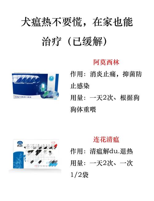 狗狗犬瘟症状怎么治疗,狗狗犬瘟是什么症状能治好吗-第3张图片-后鲨宠物 狗狗犬瘟症状怎么治疗,狗狗犬瘟是什么症状能治好吗-第3张图片-后鲨宠物