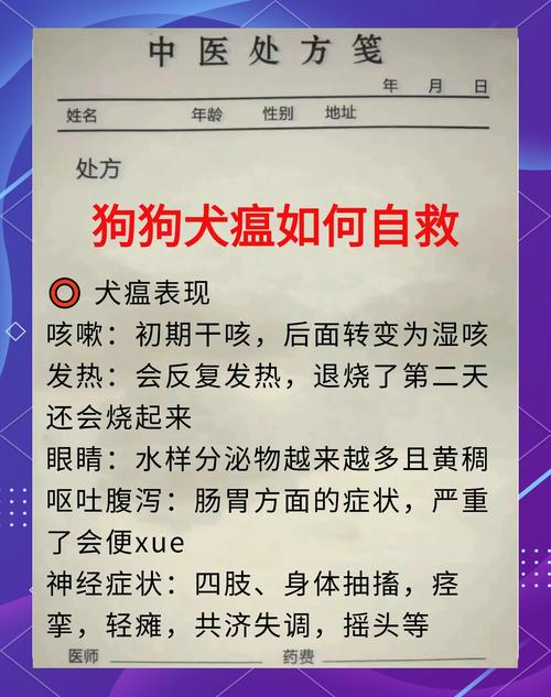 狗狗犬瘟症状怎么治疗,狗狗犬瘟是什么症状能治好吗-第5张图片-后鲨宠物 狗狗犬瘟症状怎么治疗,狗狗犬瘟是什么症状能治好吗-第5张图片-后鲨宠物