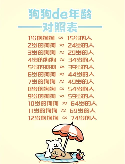 狗狗三岁相当于人类多大,狗狗三岁相当于人类多大年龄-第5张图片-后鲨宠物 狗狗三岁相当于人类多大,狗狗三岁相当于人类多大年龄-第5张图片-后鲨宠物