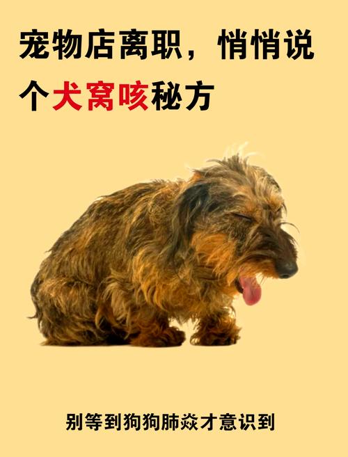 狗狗老咳嗽是怎么回事,狗狗老咳嗽怎么办啊-第4张图片-后鲨宠物 狗狗老咳嗽是怎么回事,狗狗老咳嗽怎么办啊-第4张图片-后鲨宠物