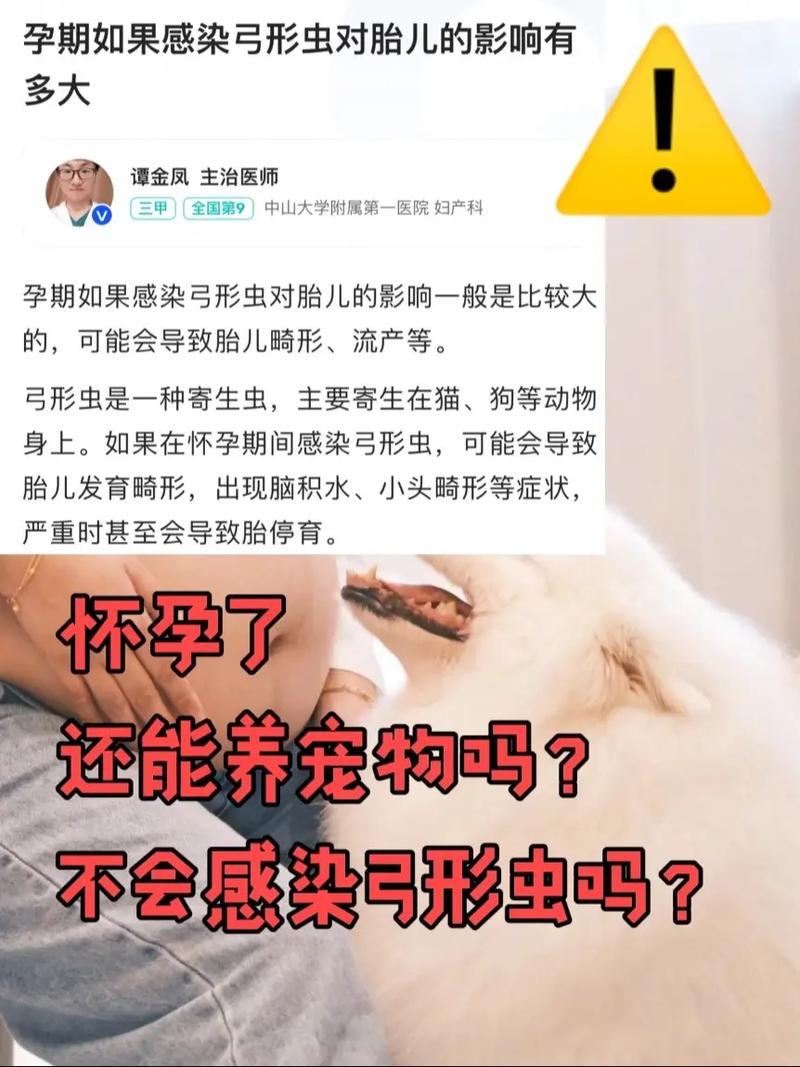 每个狗狗都有弓形虫吗,是否每个狗狗都有弓形虫-第5张图片-后鲨宠物 每个狗狗都有弓形虫吗,是否每个狗狗都有弓形虫-第5张图片-后鲨宠物