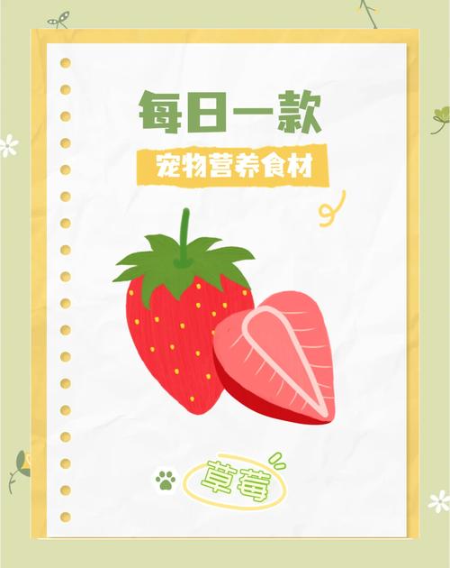 狗狗能吃草莓不,狗能吃草莓啊-第3张图片-后鲨宠物 狗狗能吃草莓不,狗能吃草莓啊-第3张图片-后鲨宠物