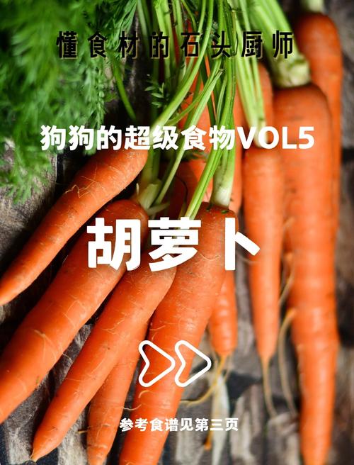 胡萝卜怎么给狗狗吃_怎样给狗狗吃胡萝卜-第2张图片-后鲨宠物 胡萝卜怎么给狗狗吃_怎样给狗狗吃胡萝卜-第2张图片-后鲨宠物