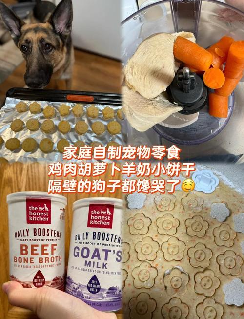 胡萝卜怎么给狗狗吃_怎样给狗狗吃胡萝卜-第3张图片-后鲨宠物 胡萝卜怎么给狗狗吃_怎样给狗狗吃胡萝卜-第3张图片-后鲨宠物