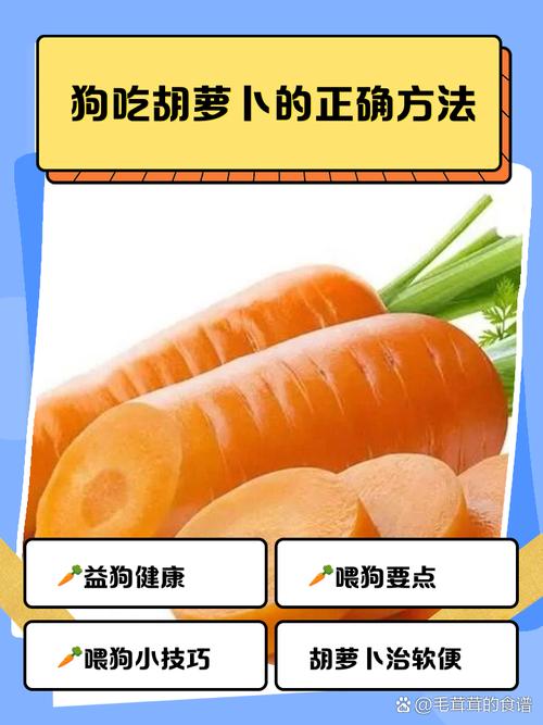 胡萝卜怎么给狗狗吃_怎样给狗狗吃胡萝卜-第4张图片-后鲨宠物 胡萝卜怎么给狗狗吃_怎样给狗狗吃胡萝卜-第4张图片-后鲨宠物