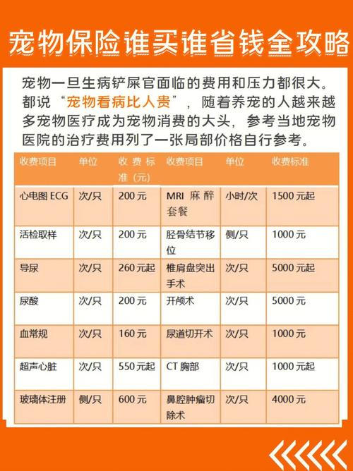 狗狗保险多少钱啊,狗狗的保险有哪几个险种?-第2张图片-后鲨宠物 狗狗保险多少钱啊,狗狗的保险有哪几个险种?-第2张图片-后鲨宠物