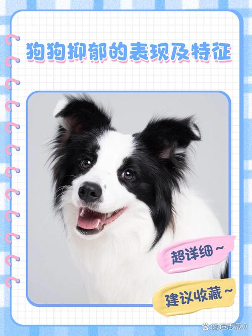 狗狗得了抑郁症的表现_狗狗得了抑郁症会好吗-第1张图片-后鲨宠物 狗狗得了抑郁症的表现_狗狗得了抑郁症会好吗-第1张图片-后鲨宠物