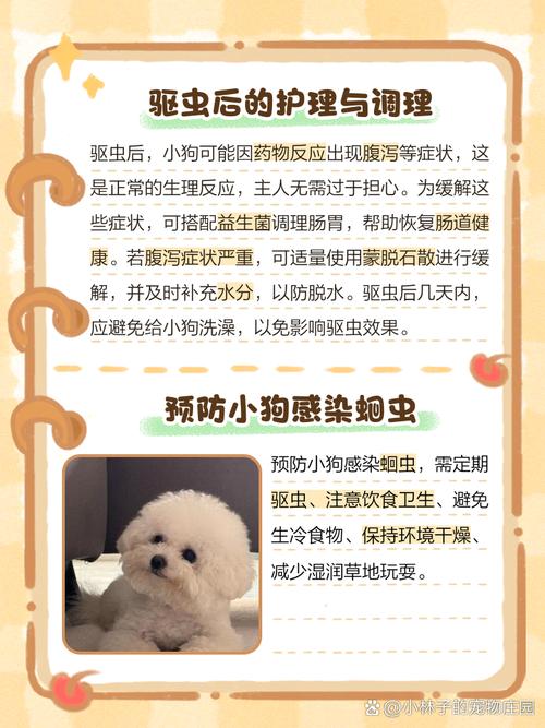 狗狗肚子有虫怎么办_狗狗肚子有虫怎么办啊-第4张图片-后鲨宠物 狗狗肚子有虫怎么办_狗狗肚子有虫怎么办啊-第4张图片-后鲨宠物