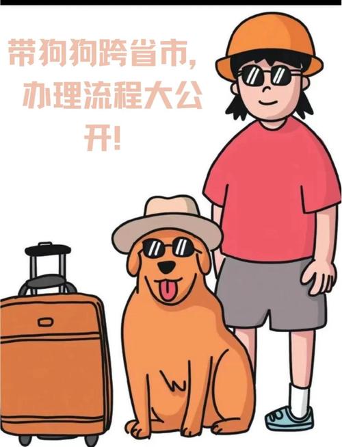 怎样把狗狗跨省带回家_怎么可以把狗狗从外地带回去-第5张图片-后鲨宠物 怎样把狗狗跨省带回家_怎么可以把狗狗从外地带回去-第5张图片-后鲨宠物