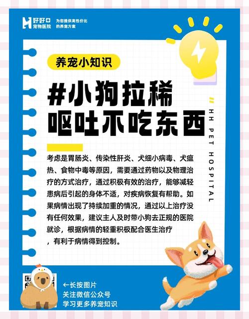 狗狗可以喝甜牛奶吗,狗狗能不能喝甜牛奶-第5张图片-后鲨宠物 狗狗可以喝甜牛奶吗,狗狗能不能喝甜牛奶-第5张图片-后鲨宠物