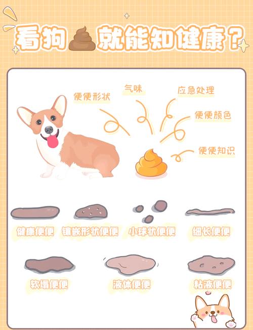 狗狗拉屎细条怎么回事,狗狗拉屎细细的?-第5张图片-后鲨宠物 狗狗拉屎细条怎么回事,狗狗拉屎细细的?-第5张图片-后鲨宠物