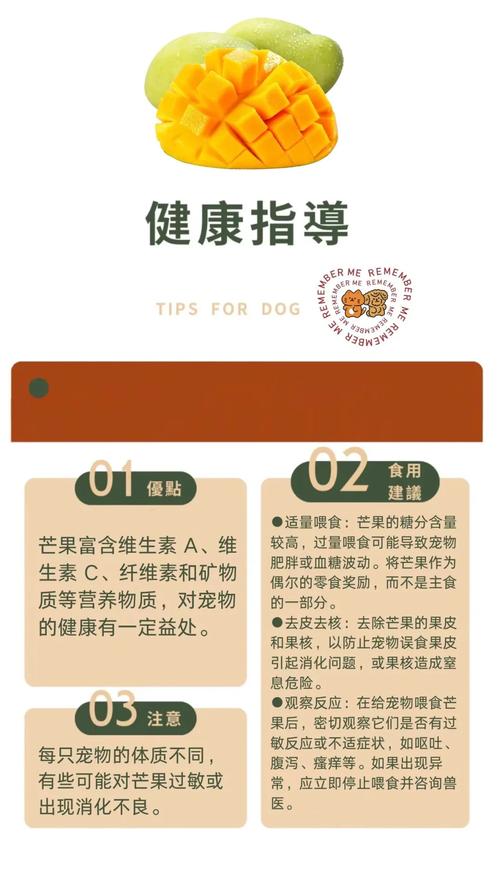 狗狗能吃芒果吗_狗狗能吃芒果吗博美-第4张图片-后鲨宠物 狗狗能吃芒果吗_狗狗能吃芒果吗博美-第4张图片-后鲨宠物