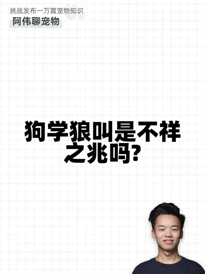 狗狗狼叫是什么意思,狗狗狼叫是什么意思网络用语?-第5张图片-后鲨宠物 狗狗狼叫是什么意思,狗狗狼叫是什么意思网络用语?-第5张图片-后鲨宠物