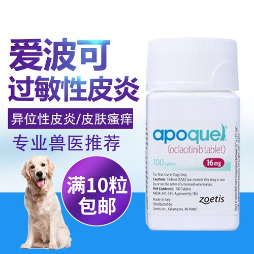 狗狗皮肤过敏怎么办,狗狗皮肤过敏是什么症状-第5张图片-后鲨宠物 狗狗皮肤过敏怎么办,狗狗皮肤过敏是什么症状-第5张图片-后鲨宠物