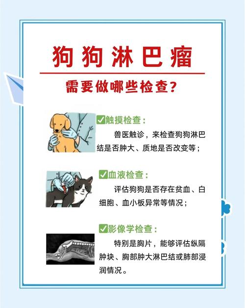 狗狗淋巴瘤早期症状,狗狗淋巴瘤早期症状图片-第6张图片-后鲨宠物 狗狗淋巴瘤早期症状,狗狗淋巴瘤早期症状图片-第6张图片-后鲨宠物