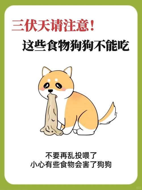 狗狗可以吃蒸蛋吗_狗狗可以吃蒸蛋吗会死吗-第1张图片-后鲨宠物 狗狗可以吃蒸蛋吗_狗狗可以吃蒸蛋吗会死吗-第1张图片-后鲨宠物