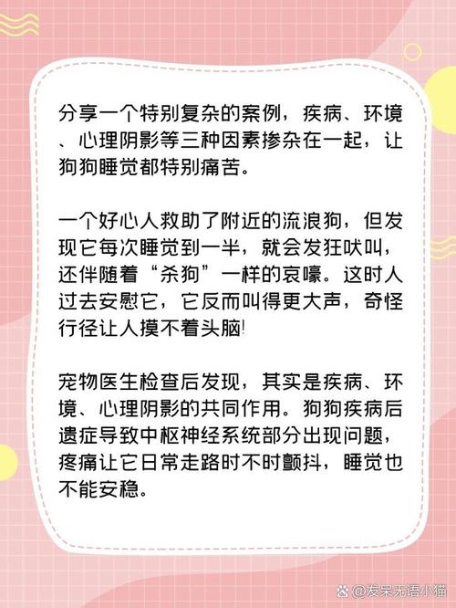 狗狗会做什么梦,狗也会做梦?-第3张图片-后鲨宠物 狗狗会做什么梦,狗也会做梦?-第3张图片-后鲨宠物