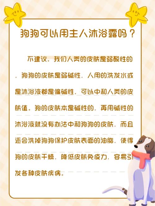 狗狗可以用人的沐浴露吗,狗狗可以用人的沐浴露吗洗澡-第5张图片-后鲨宠物 狗狗可以用人的沐浴露吗,狗狗可以用人的沐浴露吗洗澡-第5张图片-后鲨宠物