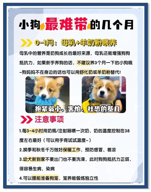 狗狗多少天断奶,狗狗多少天断奶是比较好的?-第1张图片-后鲨宠物 狗狗多少天断奶,狗狗多少天断奶是比较好的?-第1张图片-后鲨宠物