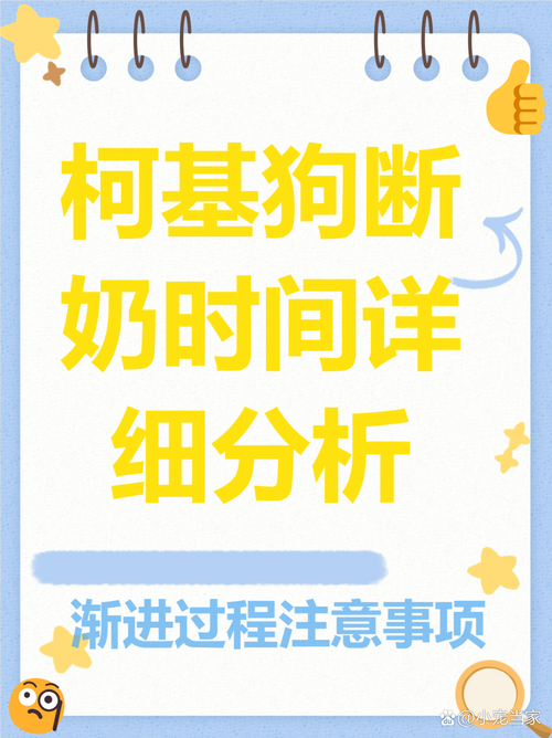 狗狗多少天断奶,狗狗多少天断奶是比较好的?-第3张图片-后鲨宠物 狗狗多少天断奶,狗狗多少天断奶是比较好的?-第3张图片-后鲨宠物
