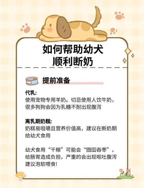 狗狗多少天断奶,狗狗多少天断奶是比较好的?-第6张图片-后鲨宠物 狗狗多少天断奶,狗狗多少天断奶是比较好的?-第6张图片-后鲨宠物