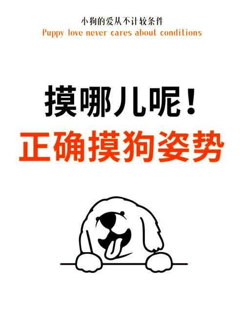 狗狗害怕怎么办安抚,狗狗害怕时怎么安抚?-第4张图片-后鲨宠物 狗狗害怕怎么办安抚,狗狗害怕时怎么安抚?-第4张图片-后鲨宠物