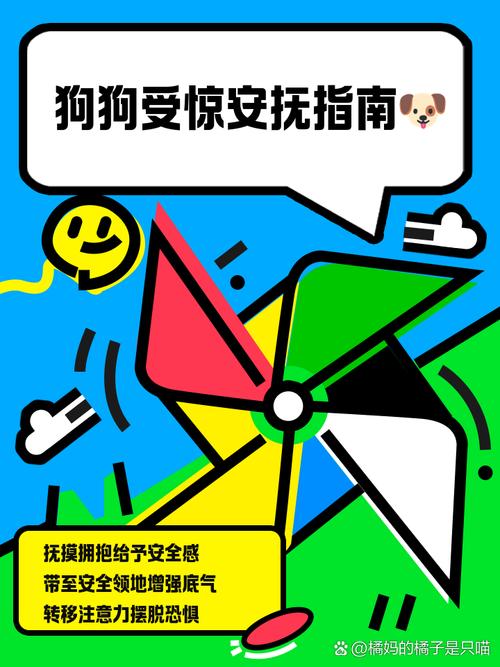 狗狗害怕怎么办安抚,狗狗害怕时怎么安抚?-第6张图片-后鲨宠物 狗狗害怕怎么办安抚,狗狗害怕时怎么安抚?-第6张图片-后鲨宠物