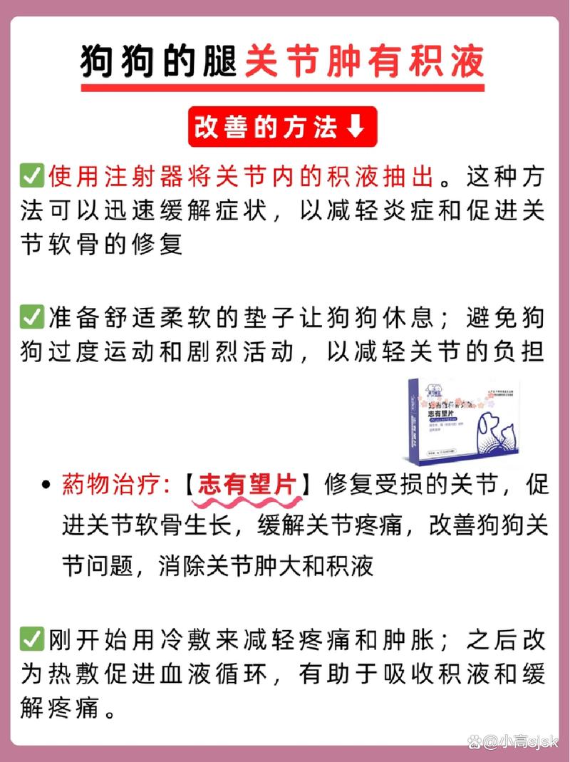 狗狗关节积液怎么治疗_小狗关节处有鼓包积液-第4张图片-后鲨宠物 狗狗关节积液怎么治疗_小狗关节处有鼓包积液-第4张图片-后鲨宠物