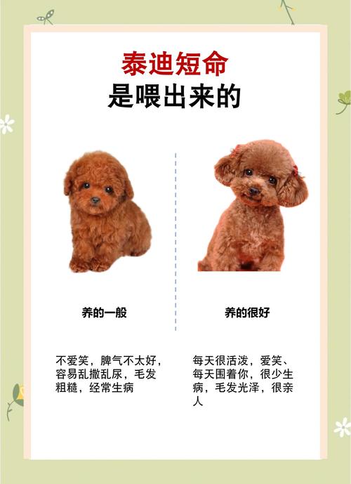 狗狗身上的味道怎么去除_狗狗身上的味道怎么去除小妙招-第1张图片-后鲨宠物 狗狗身上的味道怎么去除_狗狗身上的味道怎么去除小妙招-第1张图片-后鲨宠物