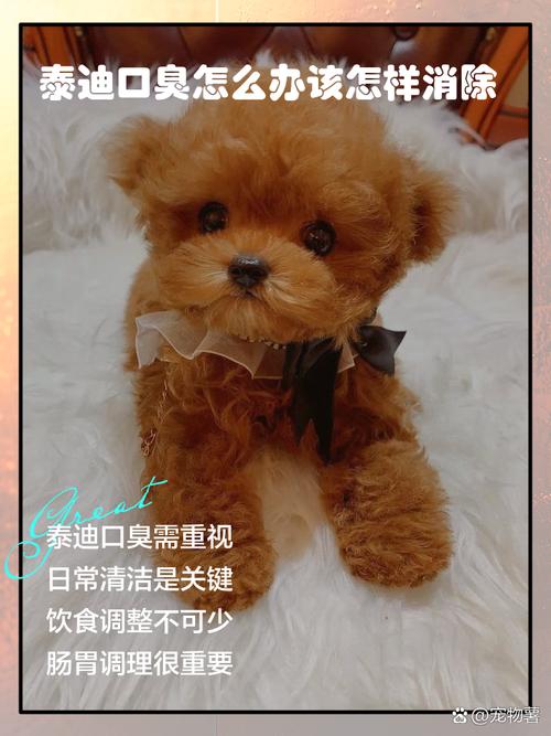 狗狗身上的味道怎么去除_狗狗身上的味道怎么去除小妙招-第2张图片-后鲨宠物 狗狗身上的味道怎么去除_狗狗身上的味道怎么去除小妙招-第2张图片-后鲨宠物