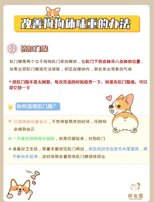 狗狗身上的味道怎么去除_狗狗身上的味道怎么去除小妙招-第3张图片-后鲨宠物 狗狗身上的味道怎么去除_狗狗身上的味道怎么去除小妙招-第3张图片-后鲨宠物