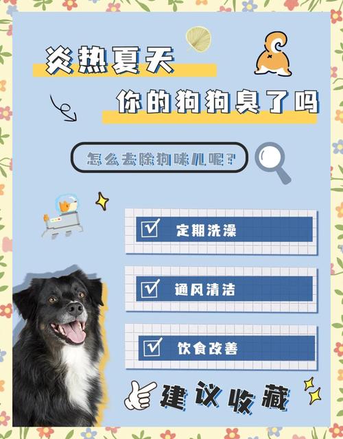 狗狗身上的味道怎么去除_狗狗身上的味道怎么去除小妙招-第6张图片-后鲨宠物 狗狗身上的味道怎么去除_狗狗身上的味道怎么去除小妙招-第6张图片-后鲨宠物