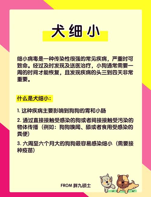 狗狗得了细小怎么治疗,狗狗得了细小是什么症状怎么办-第5张图片-后鲨宠物 狗狗得了细小怎么治疗,狗狗得了细小是什么症状怎么办-第5张图片-后鲨宠物