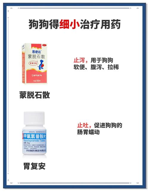 狗狗得了细小怎么治疗,狗狗得了细小是什么症状怎么办-第6张图片-后鲨宠物 狗狗得了细小怎么治疗,狗狗得了细小是什么症状怎么办-第6张图片-后鲨宠物