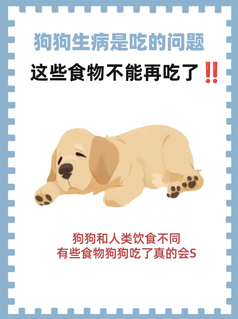 狗狗感冒不吃东西怎么办_狗狗感冒了不吃饭怎么办?-第3张图片-后鲨宠物 狗狗感冒不吃东西怎么办_狗狗感冒了不吃饭怎么办?-第3张图片-后鲨宠物