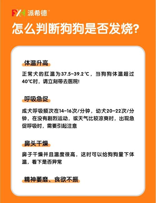 狗狗发烧多久能好,狗狗发烧多久能好起来-第1张图片-后鲨宠物 狗狗发烧多久能好,狗狗发烧多久能好起来-第1张图片-后鲨宠物